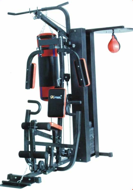 GateGold GG3001C-1 One Station Multi Gym with Punching Bag