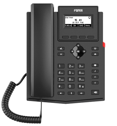 Fanvil X301P Entry Level IP Phone