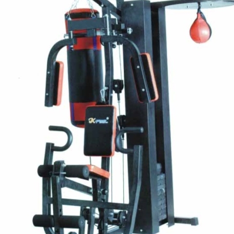 GateGold GG3001C-1 One Station Multi Gym with Punching Bag